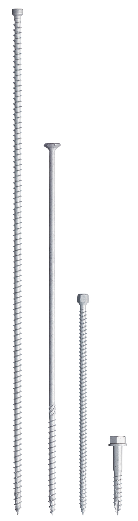 パイルパイクビス